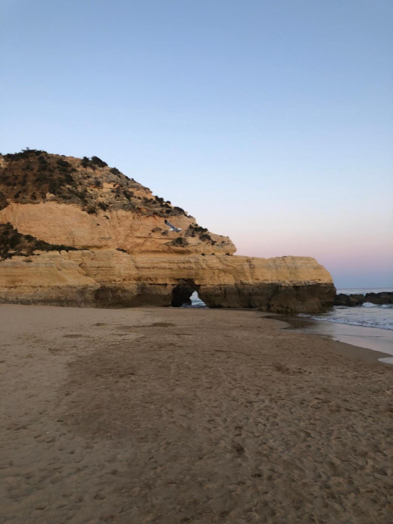 Clube Praia Da Rocha II 포티마오 외부 사진